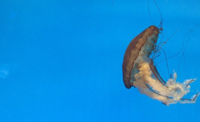 Losing Control (Poem)