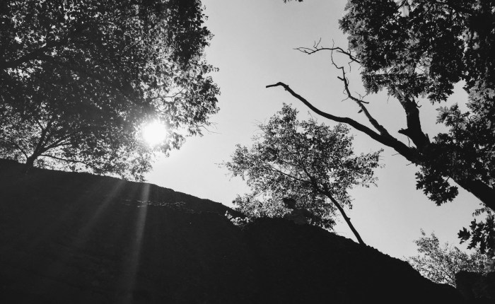 Garden Restoraton (Poem)