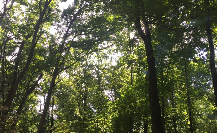 Small Beginnings: Big&nbsp;Dreams