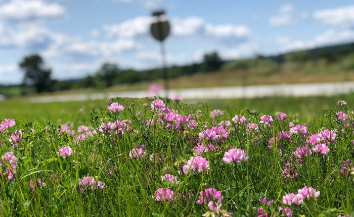 Security in Contentment&nbsp;(Poem)