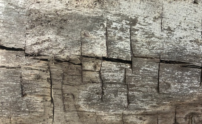 Vulnerability (are you&nbsp;enough?)