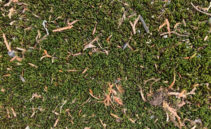 Stop, slow, know&nbsp;(Poem)